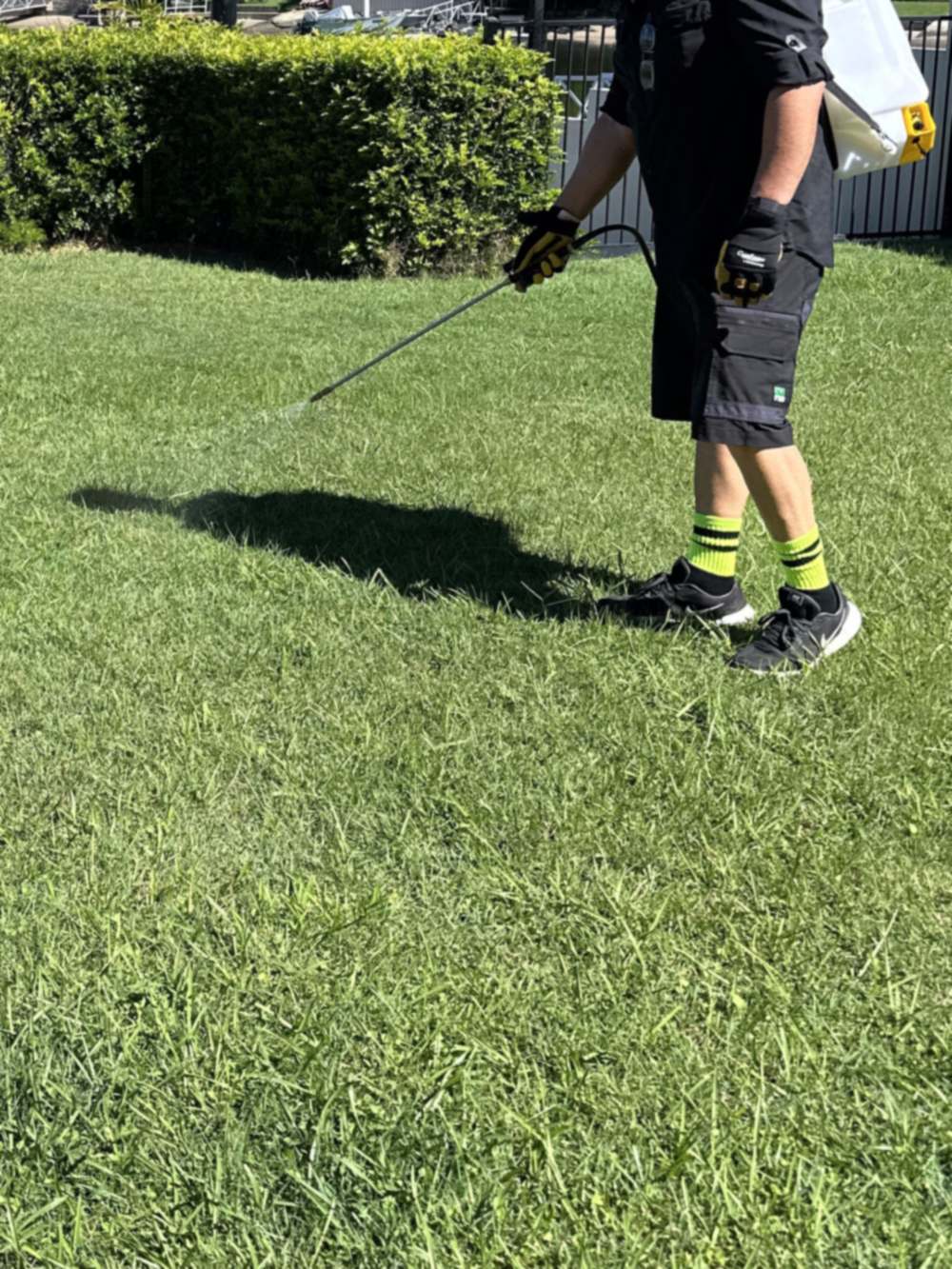 ant control Gold Coast lawn and perimeter treatment at a waterfront home CPH Services Gold Coast
