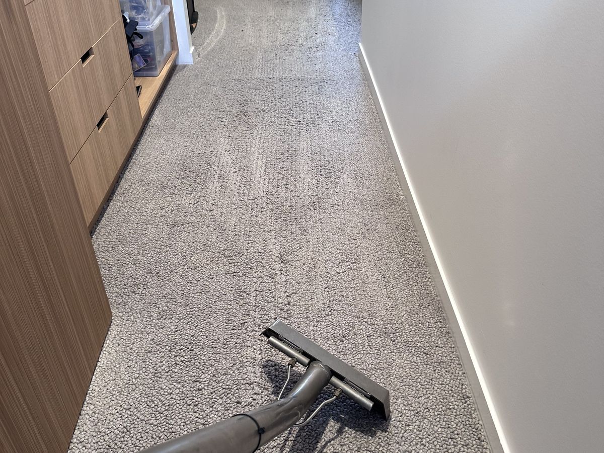 Eliminate Unpleasant Smells with Odour Removal Solutions in Gold Coast
