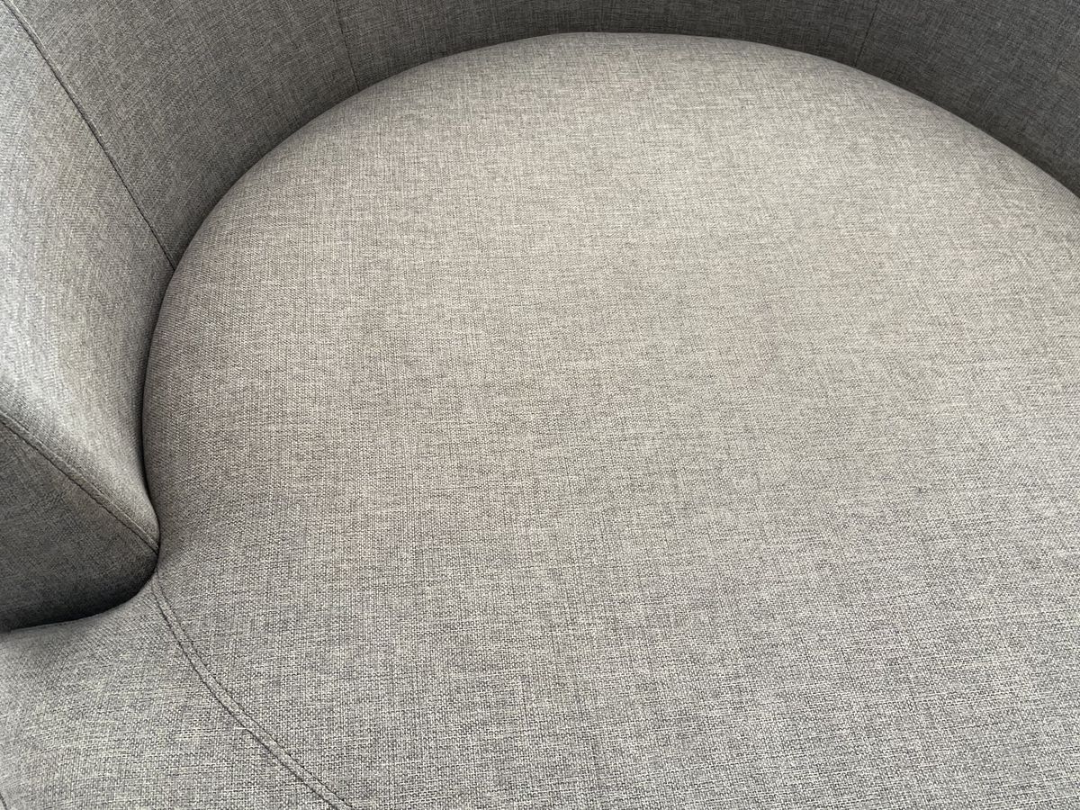 Fleas Living in Your Couch, Not Just the Carpet
