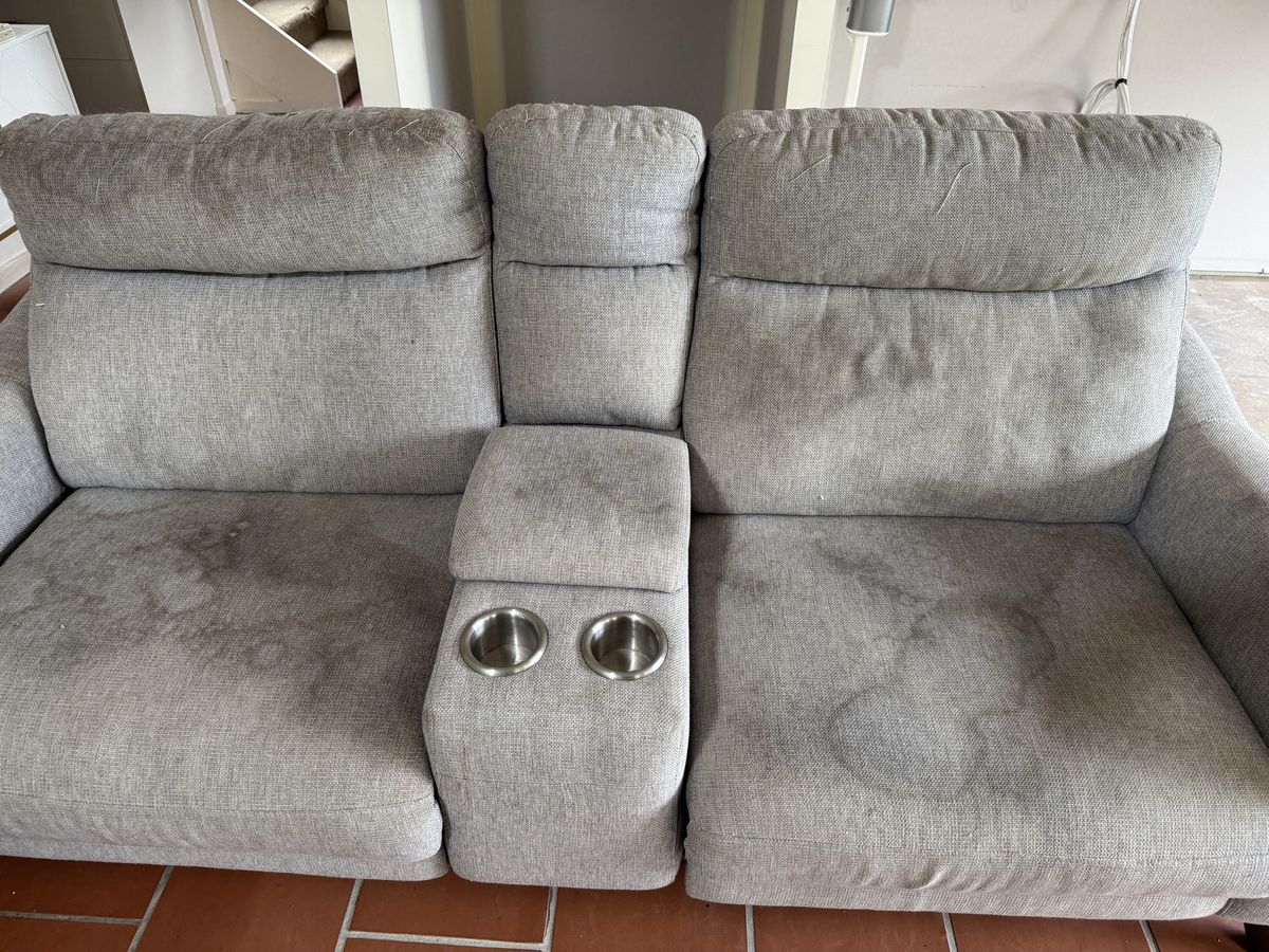 Quick Solutions for Fresh Pet Urine Stains on Carpets