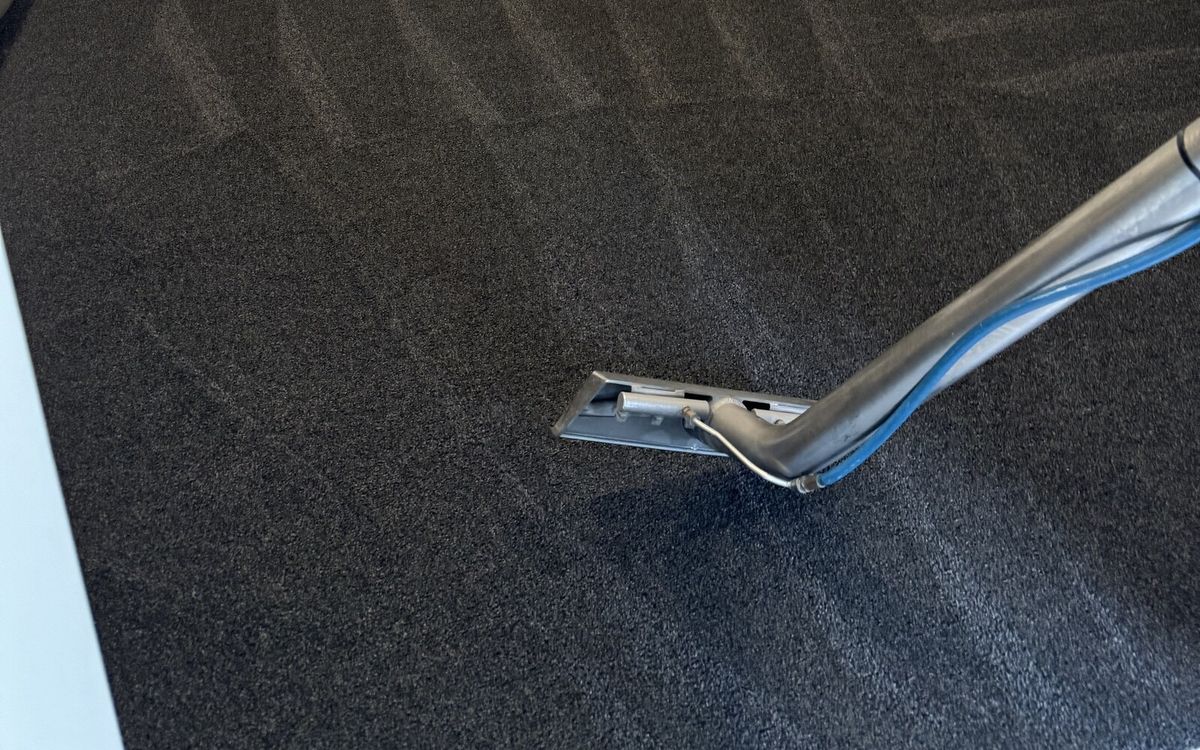 Carpet Cleaning Cost Gold Coast