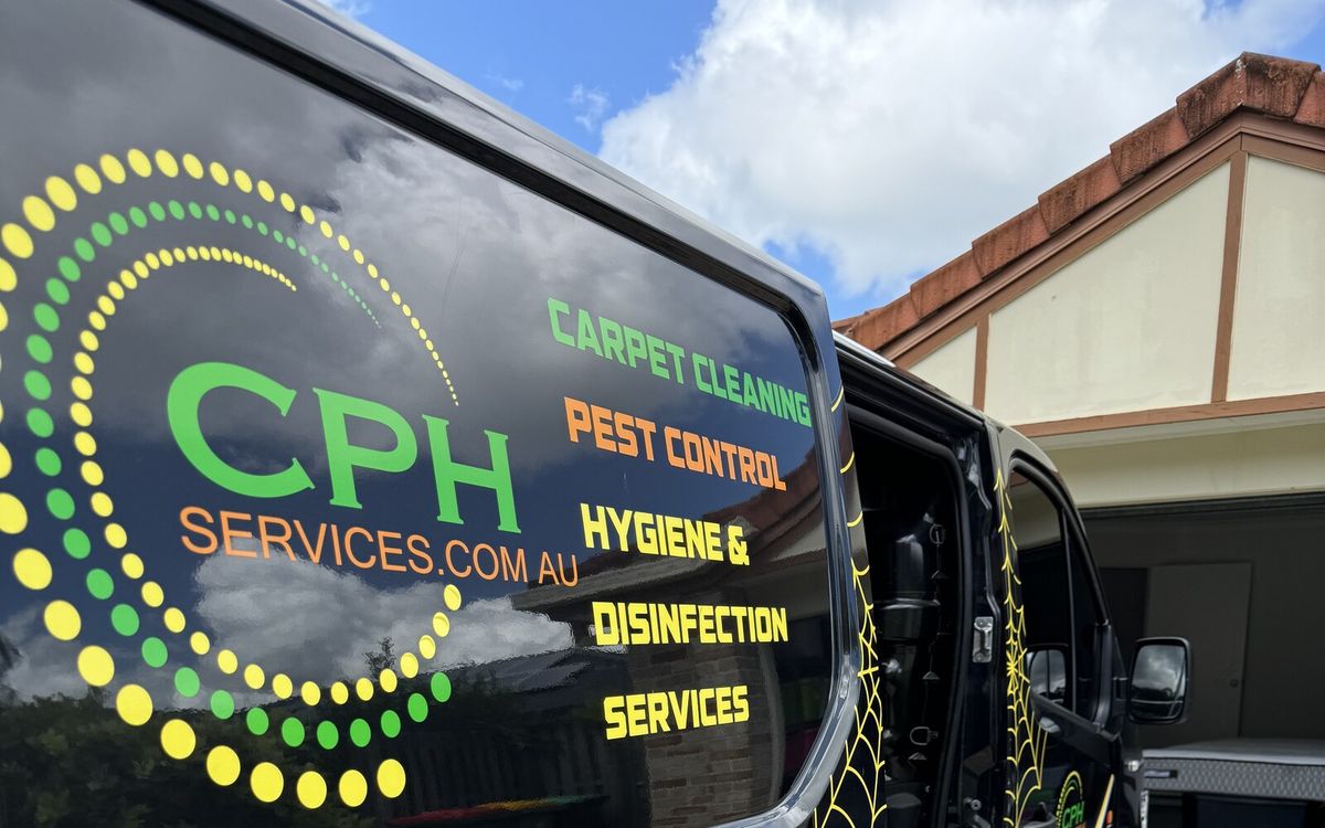 Pest Control Guide Gold Coast