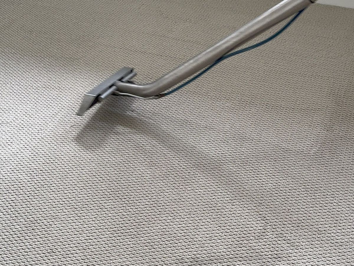 carpet cleaning Coomera CPH Services Gold Coast