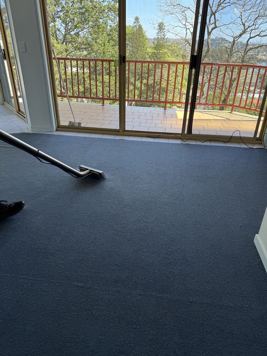 Carpet Cleaning for Gold Coast Pet Owners: What to Know