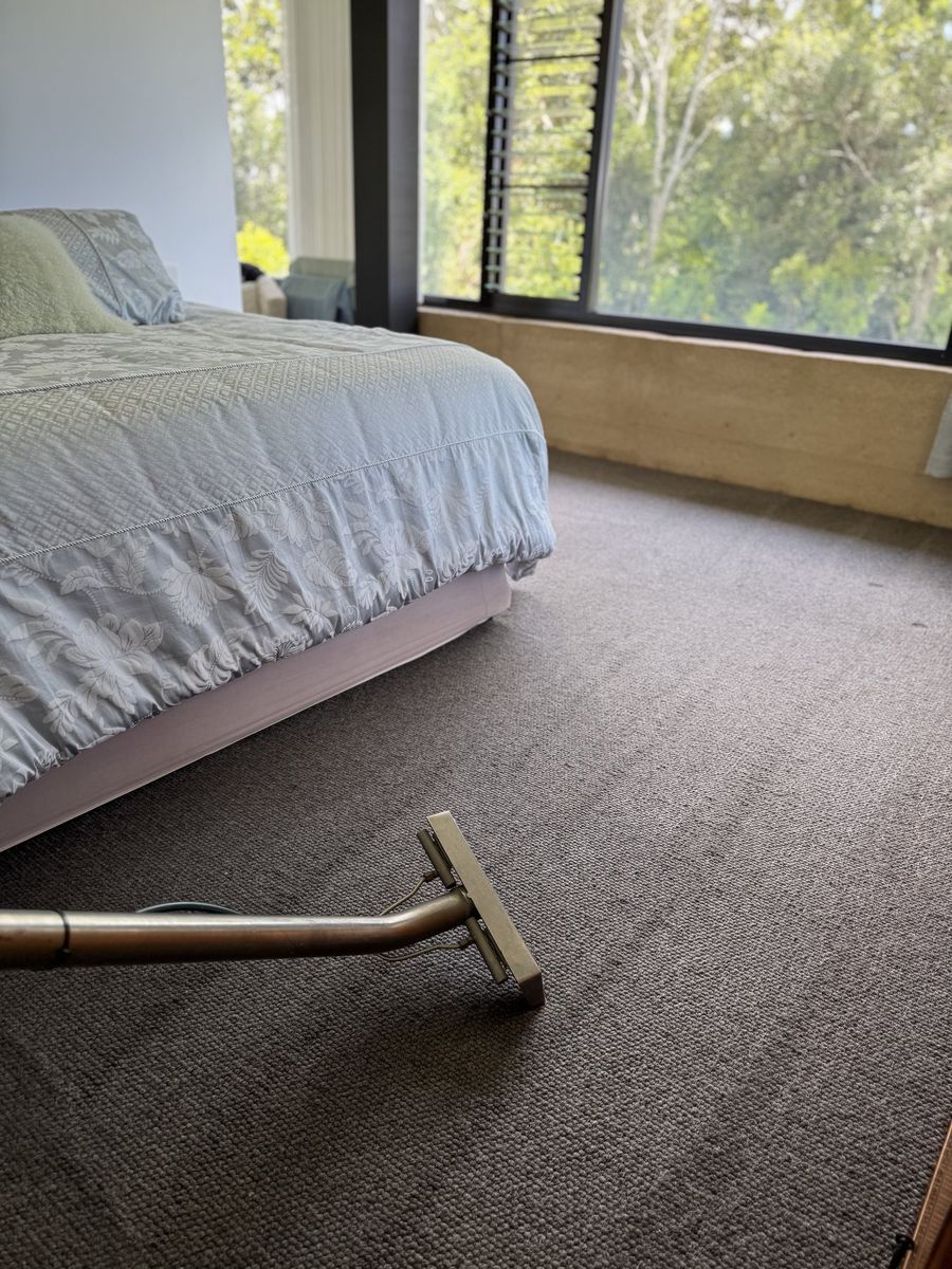 How to Remove the Most Common Carpet Stains