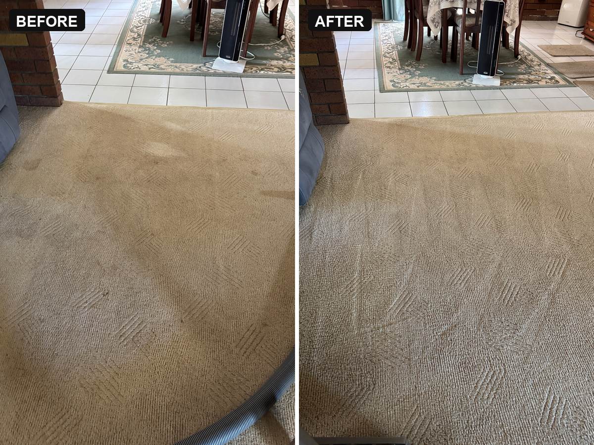 before and after carpet cleaning Banora Point beige lounge room carpet with a soiled traffic area lifted CPH Services Gold Coast