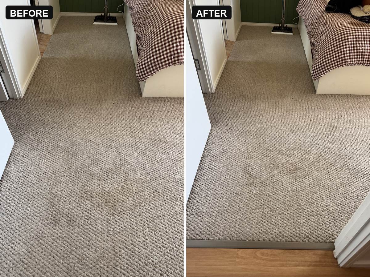 before and after carpet cleaning Mudgeeraba bedroom carpet with pet soiling lifted CPH Services Gold Coast