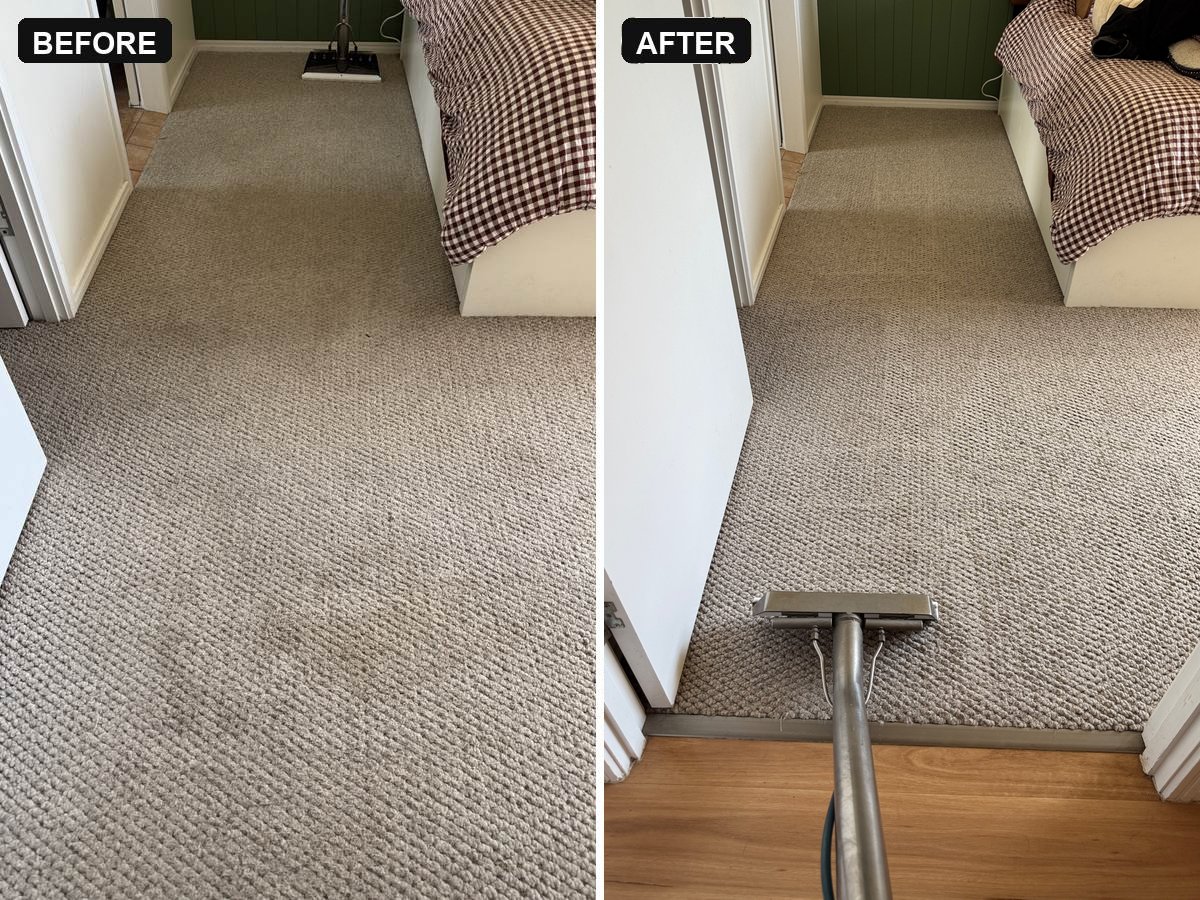before and after carpet cleaning Mudgeeraba bedroom carpet with pet soiling lifted CPH Services Gold Coast