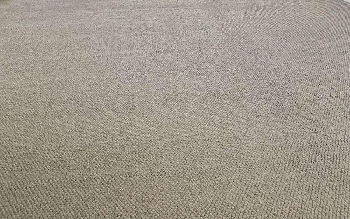 How Gold Coast's Humidity Changes the Way Carpet Should Be Cleaned