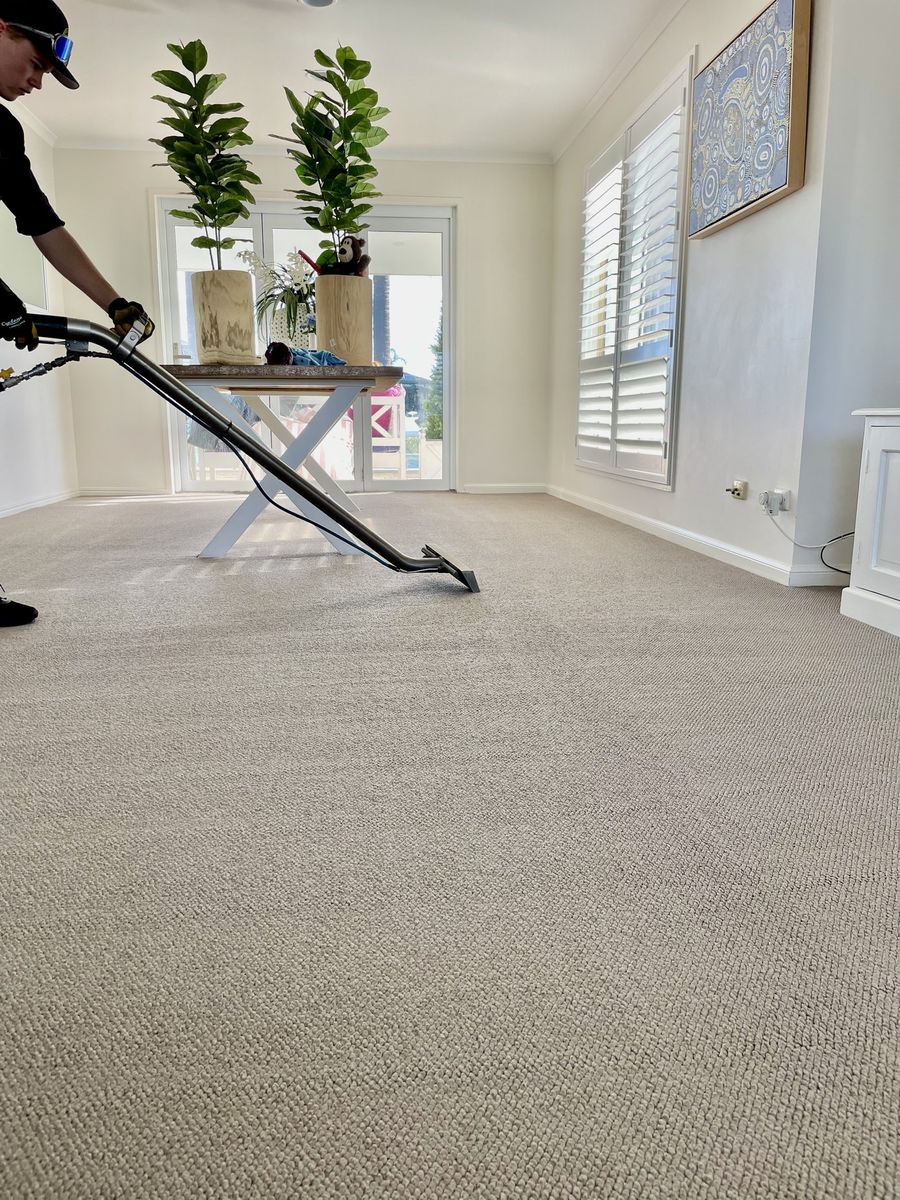 How Gold Coast's Humidity Changes the Way Carpet Should Be Cleaned