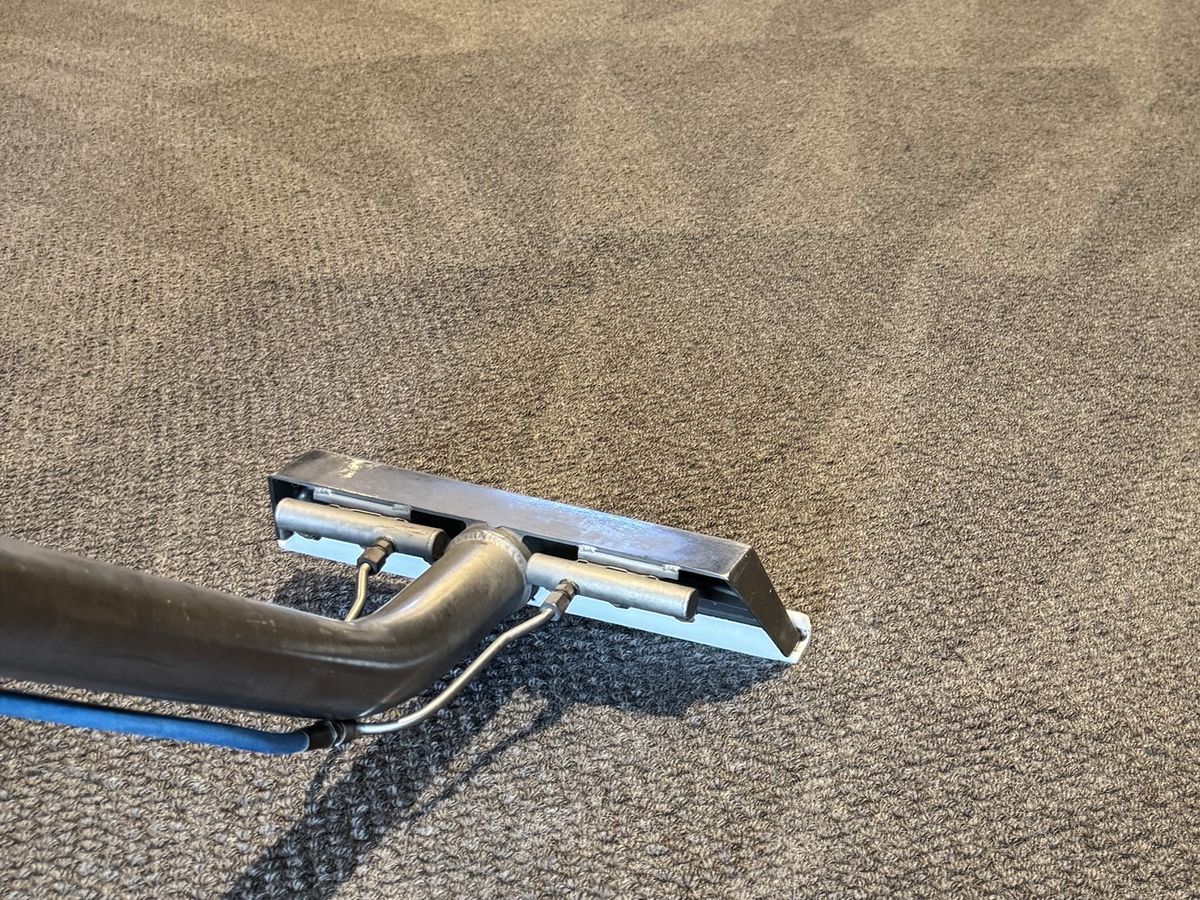 red wine stain carpet cleaning Gold Coast CPH Services Gold Coast
