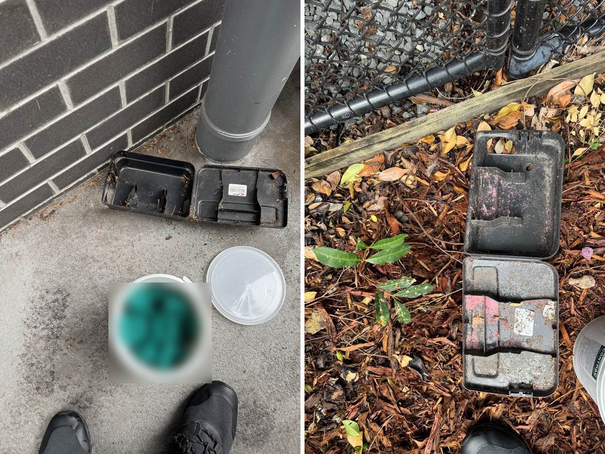 commercial pest control Robina, an opened rodent bait station beside a downpipe with a bucket of bait blocks, and a weathered station on mulch by a fence CPH Services Gold Coast