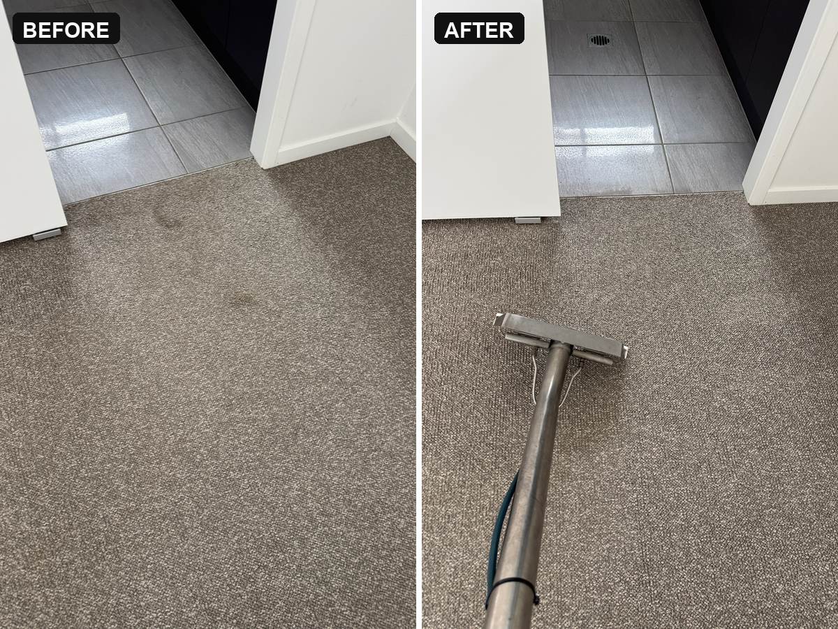 before and after end of lease carpet cleaning Helensvale marked carpet at a doorway beside tiles then the same spot clean with the extraction wand CPH Services Gold Coast