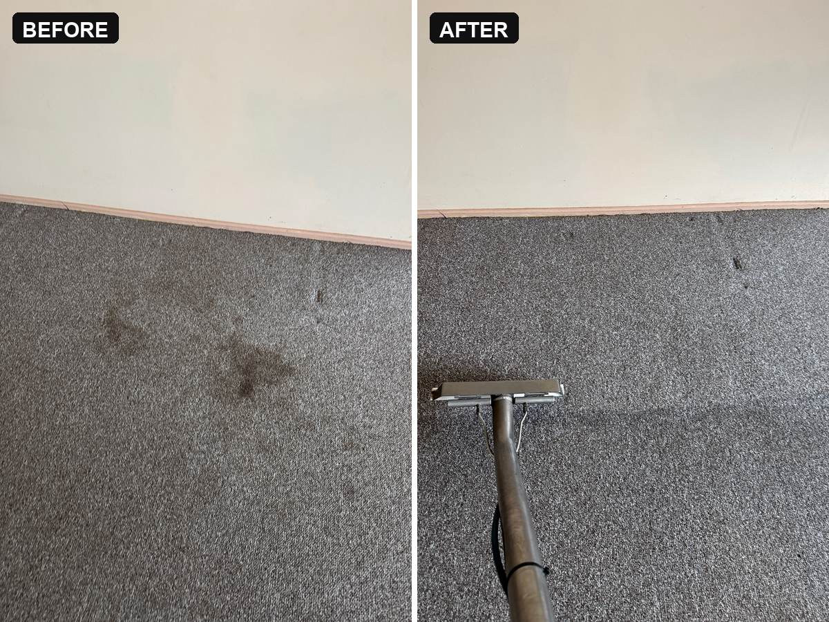 before and after end of lease carpet stain removal Mermaid Waters stains beside a wall lifted with the extraction wand CPH Services Gold Coast
