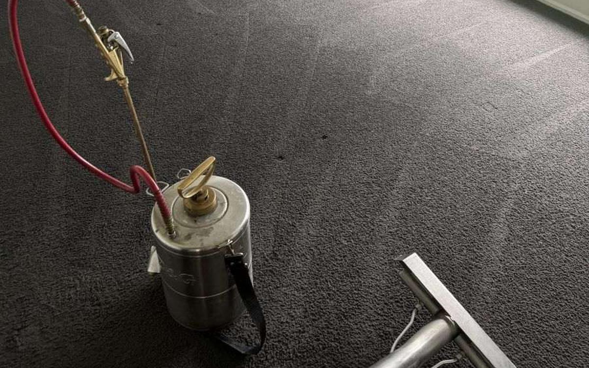 Effective Ways to Get Rid of Fleas in Carpets and Upholstery