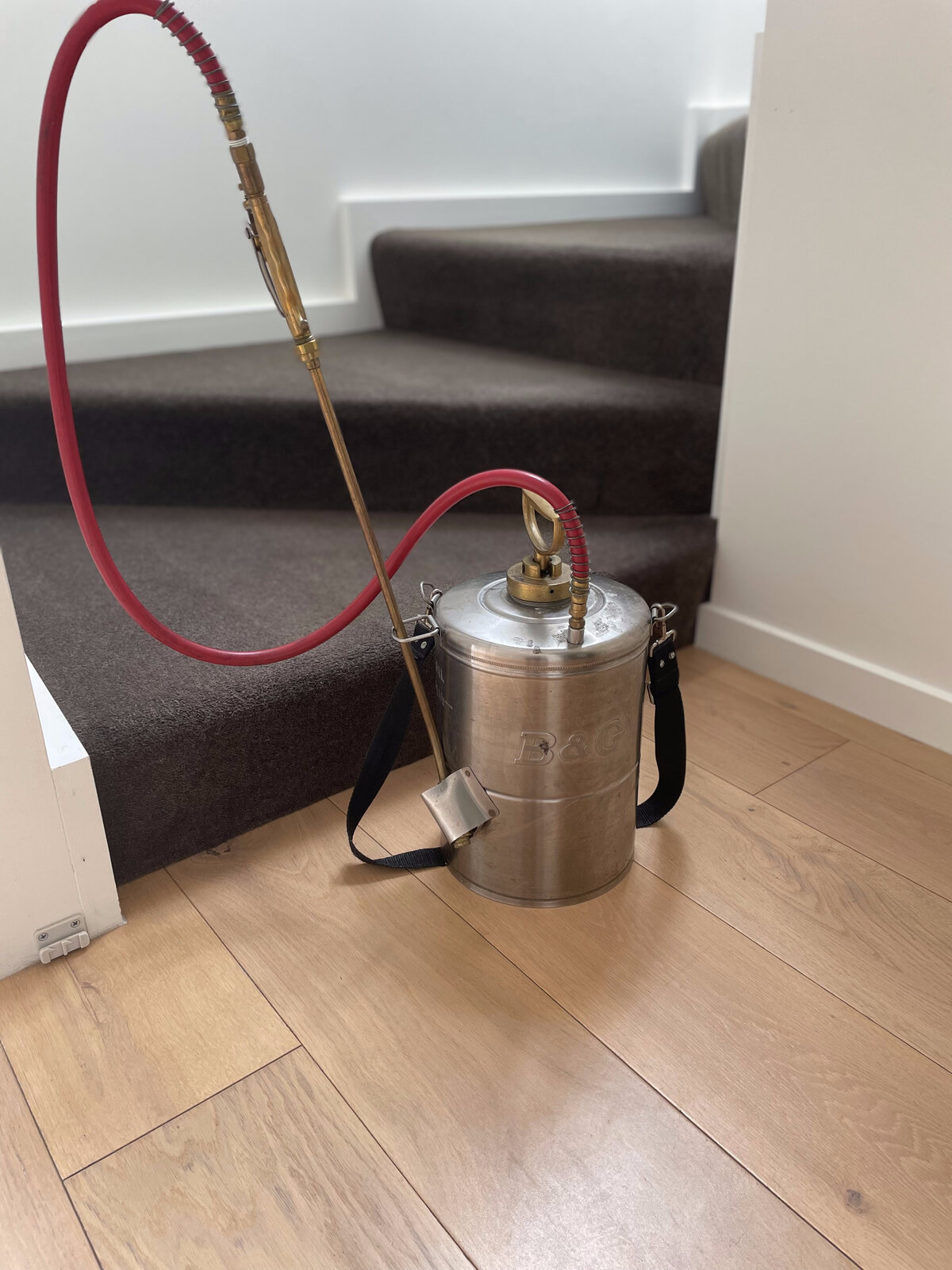 flea treatment sprayer on stairs, CPH Services Gold Coast