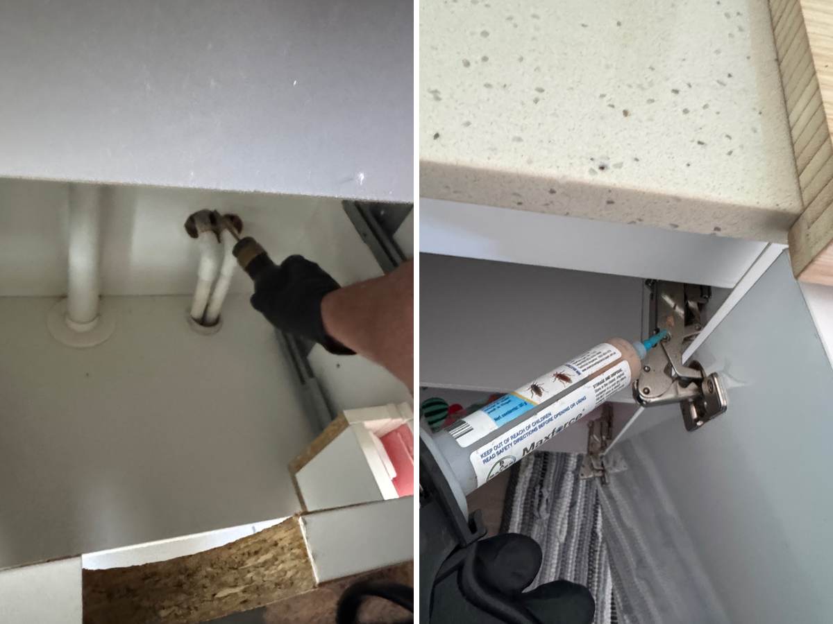 German cockroach treatment Burleigh Waters, treating the pipe gaps under a bathroom vanity and gel bait under a kitchen benchtop CPH Services Gold Coast