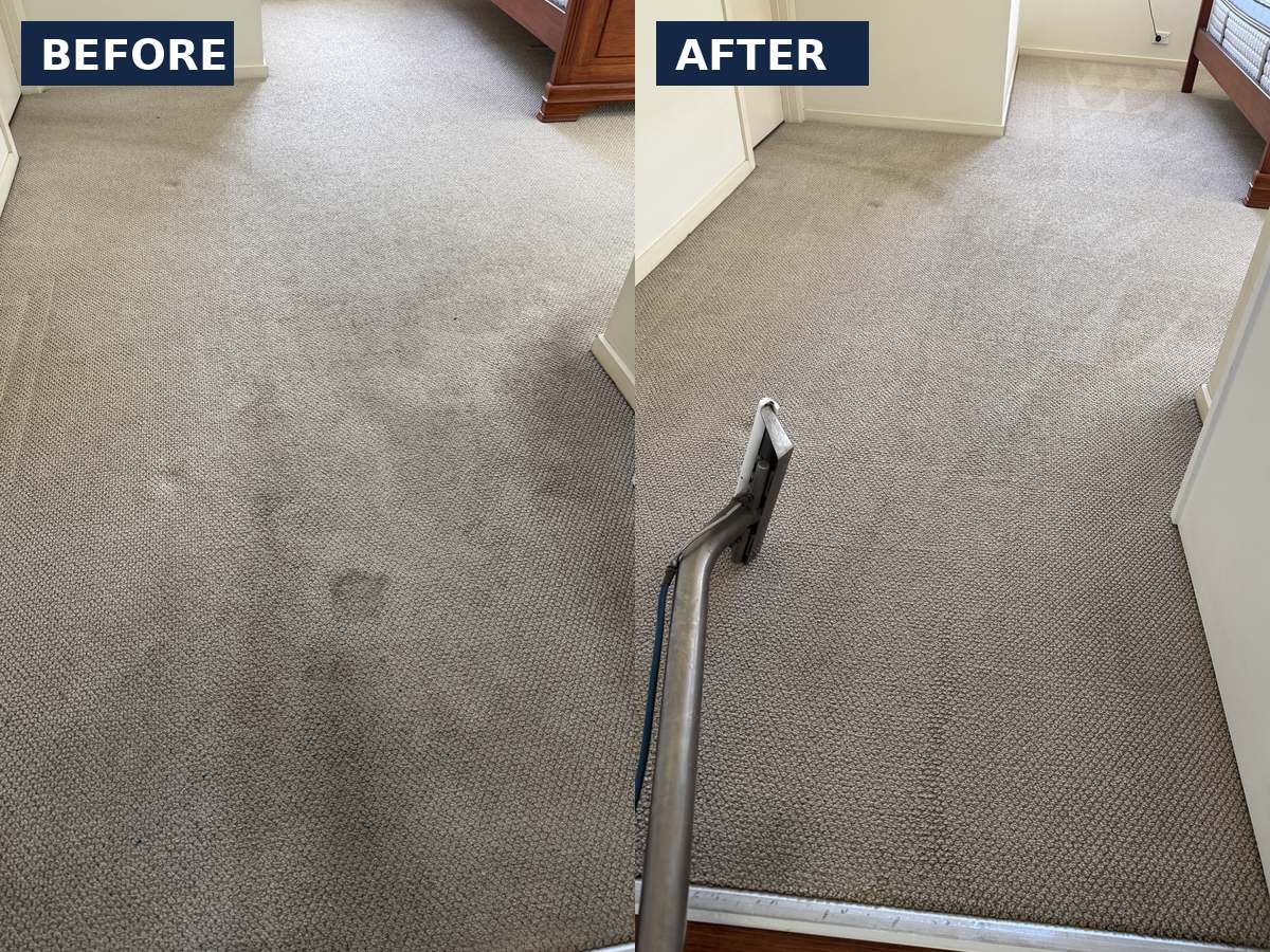 carpet cleaner Gold Coast heavily soiled carpet before and after CPH Services Gold Coast