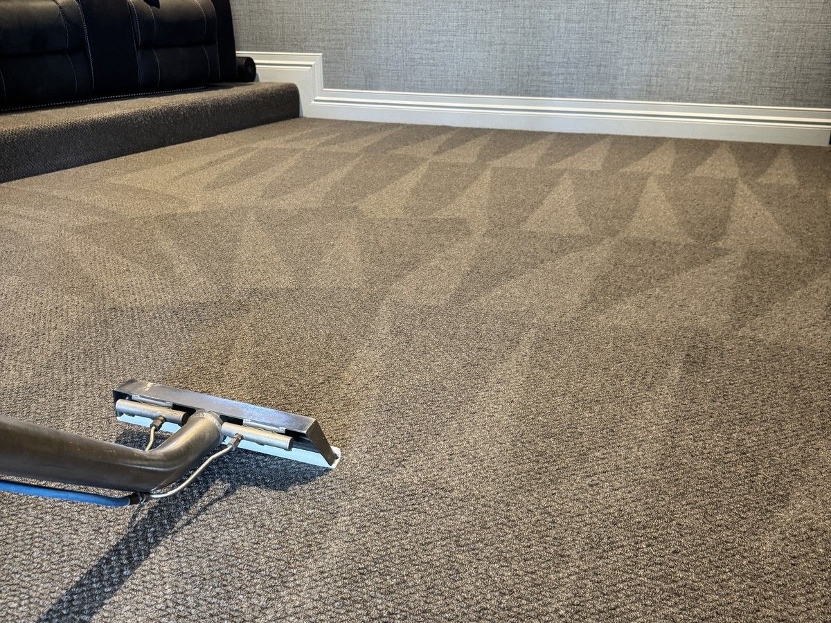 pet urine carpet cleaning Gold Coast CPH Services Gold Coast