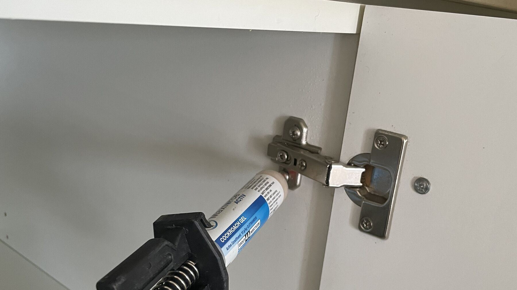 pest control Gold Coast CPH Services Gold Coast