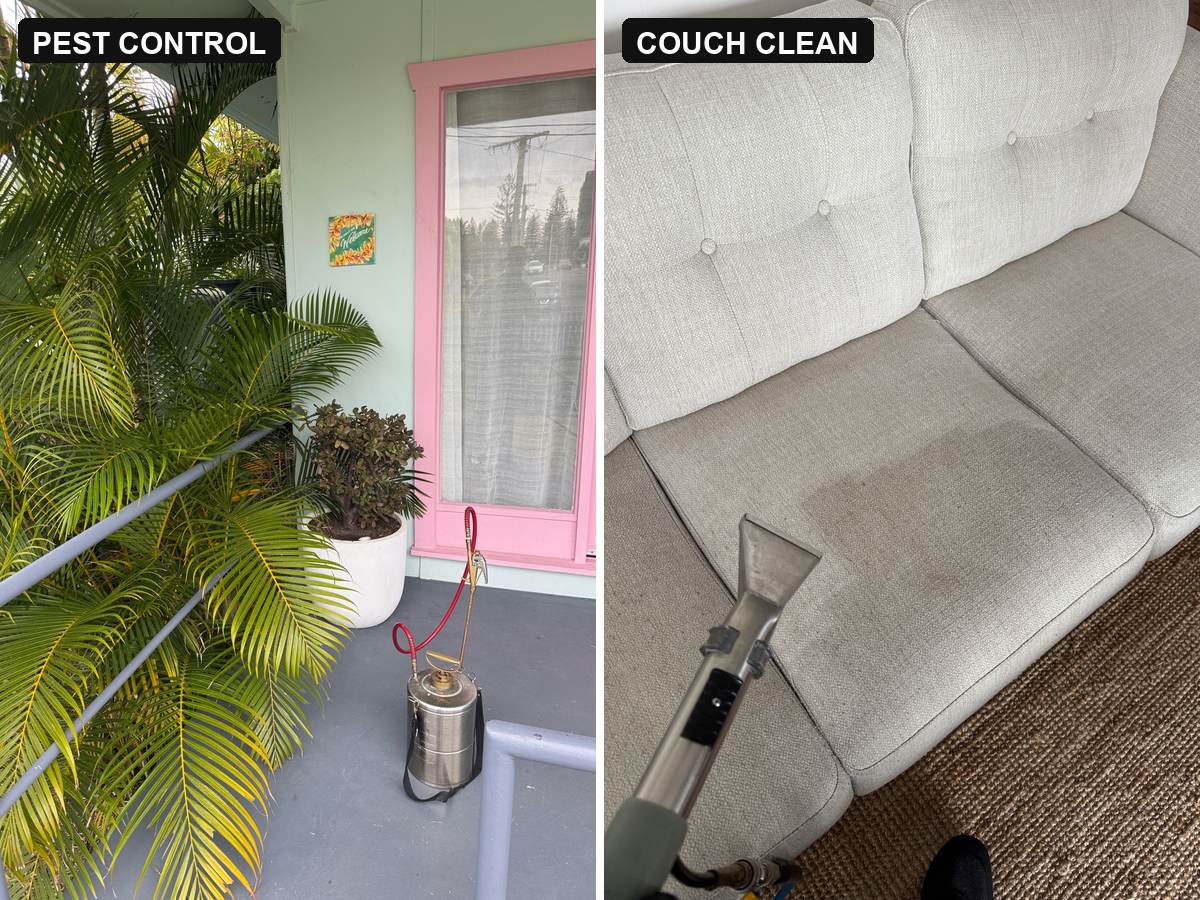 pest control Burleigh Heads sprayer on a verandah with palm fronds against the house, and a fabric couch mid clean, CPH Services Gold Coast