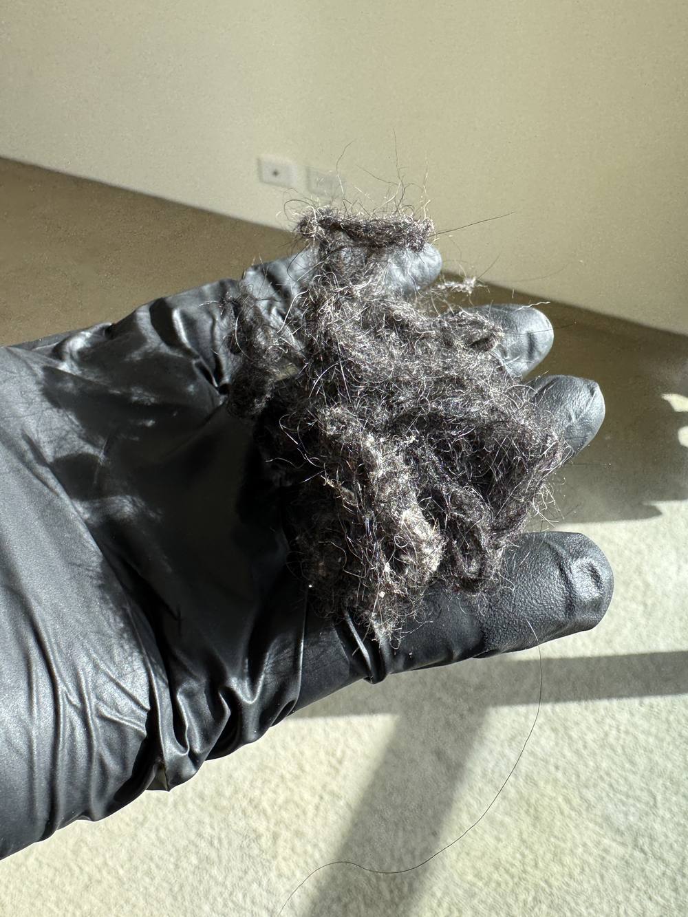 end of lease carpet cleaning CPH Services Gold Coast