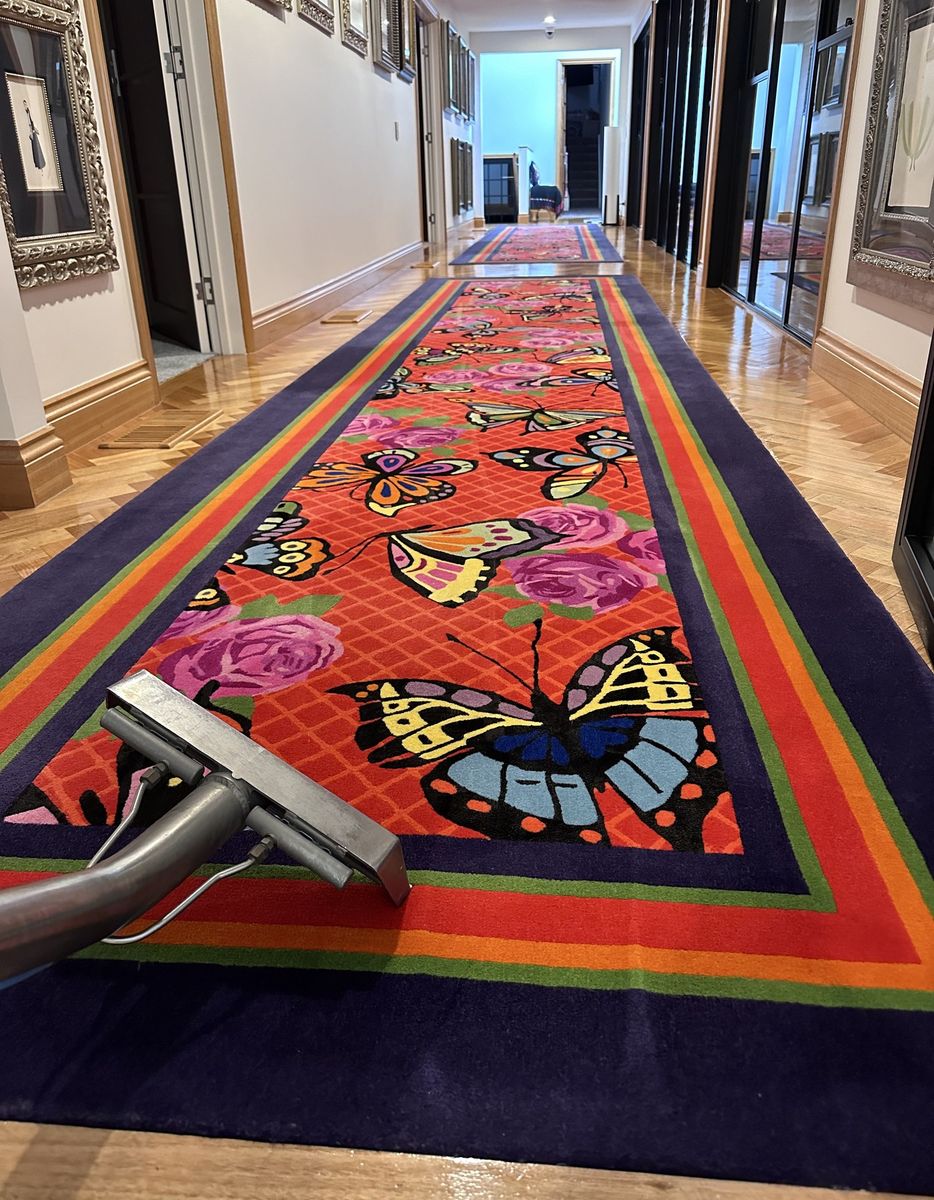A Guide to Expert Rug Cleaning on the Gold Coast
